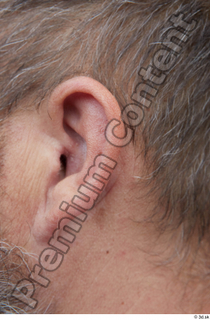 Street  662 ear 0001.jpg